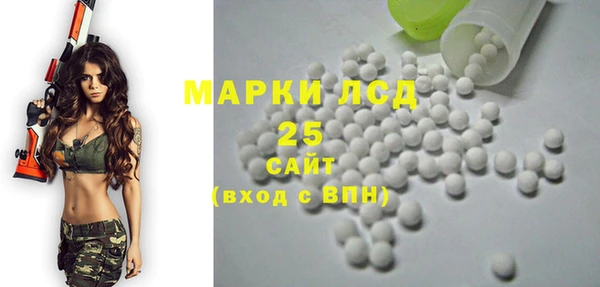 сатива Бородино