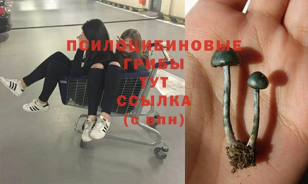 мяу мяу мука Верхний Тагил